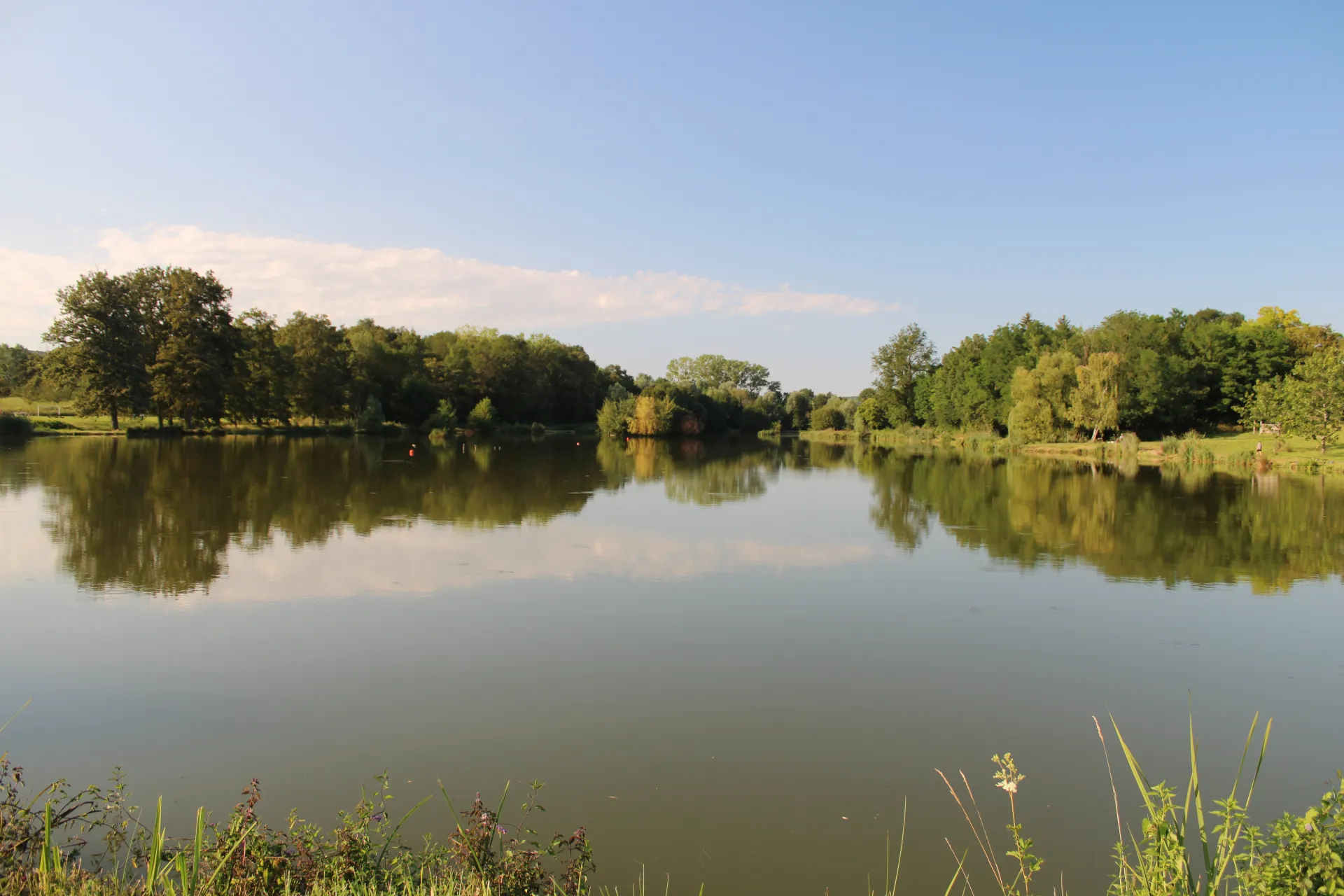 Etang de la commune de Saint Maurice de Satonnay