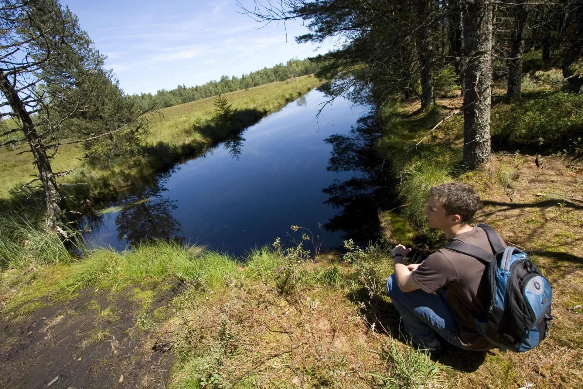Photo Paysage de Tourbière Frasne