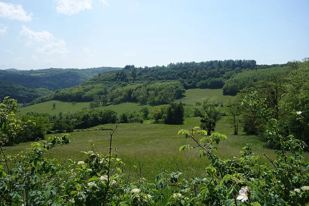 Vue de la réserve naturelle régionale de la côte de Mancy