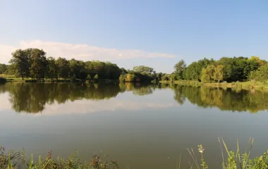 Etang de la commune de Saint Maurice de Satonnay